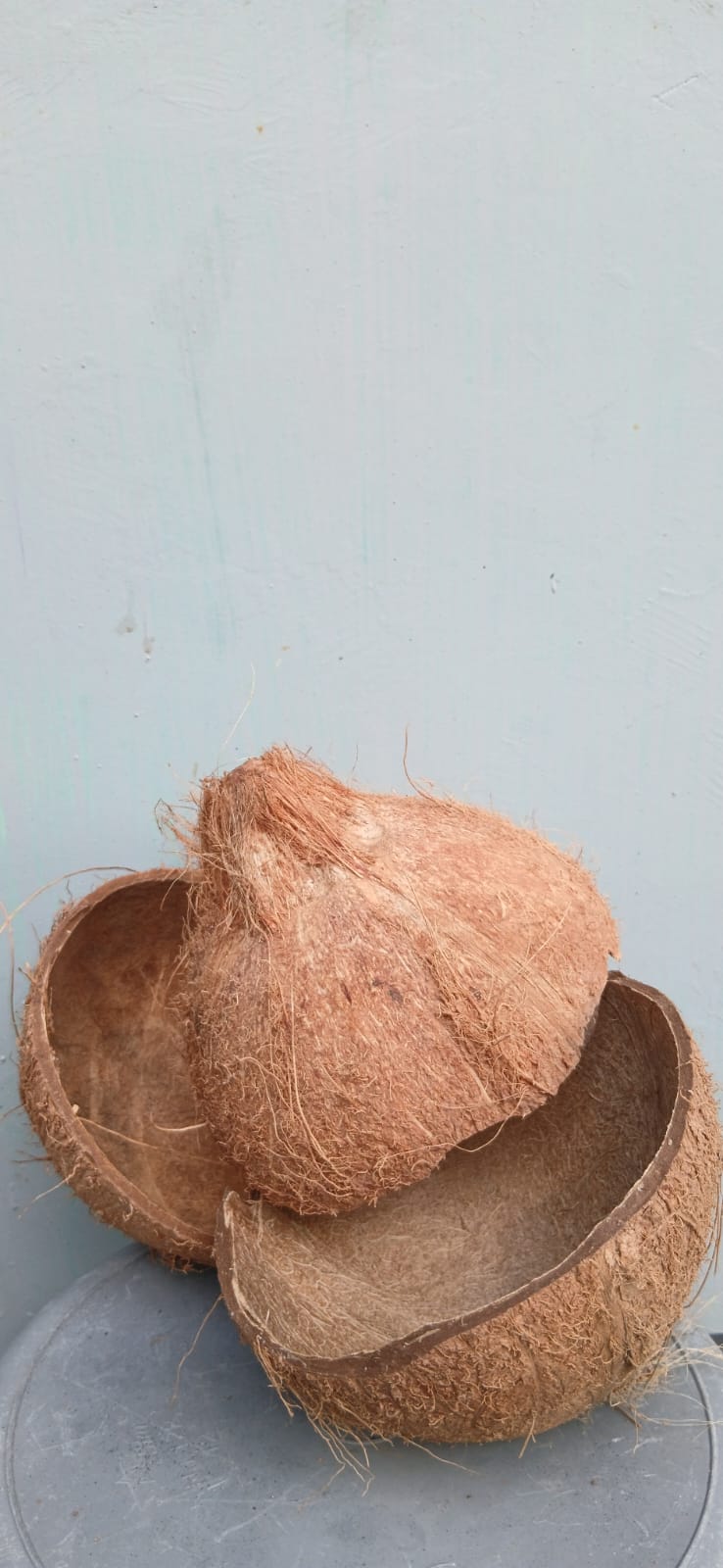 ARJO coconut charcoal production and packaging photo 8